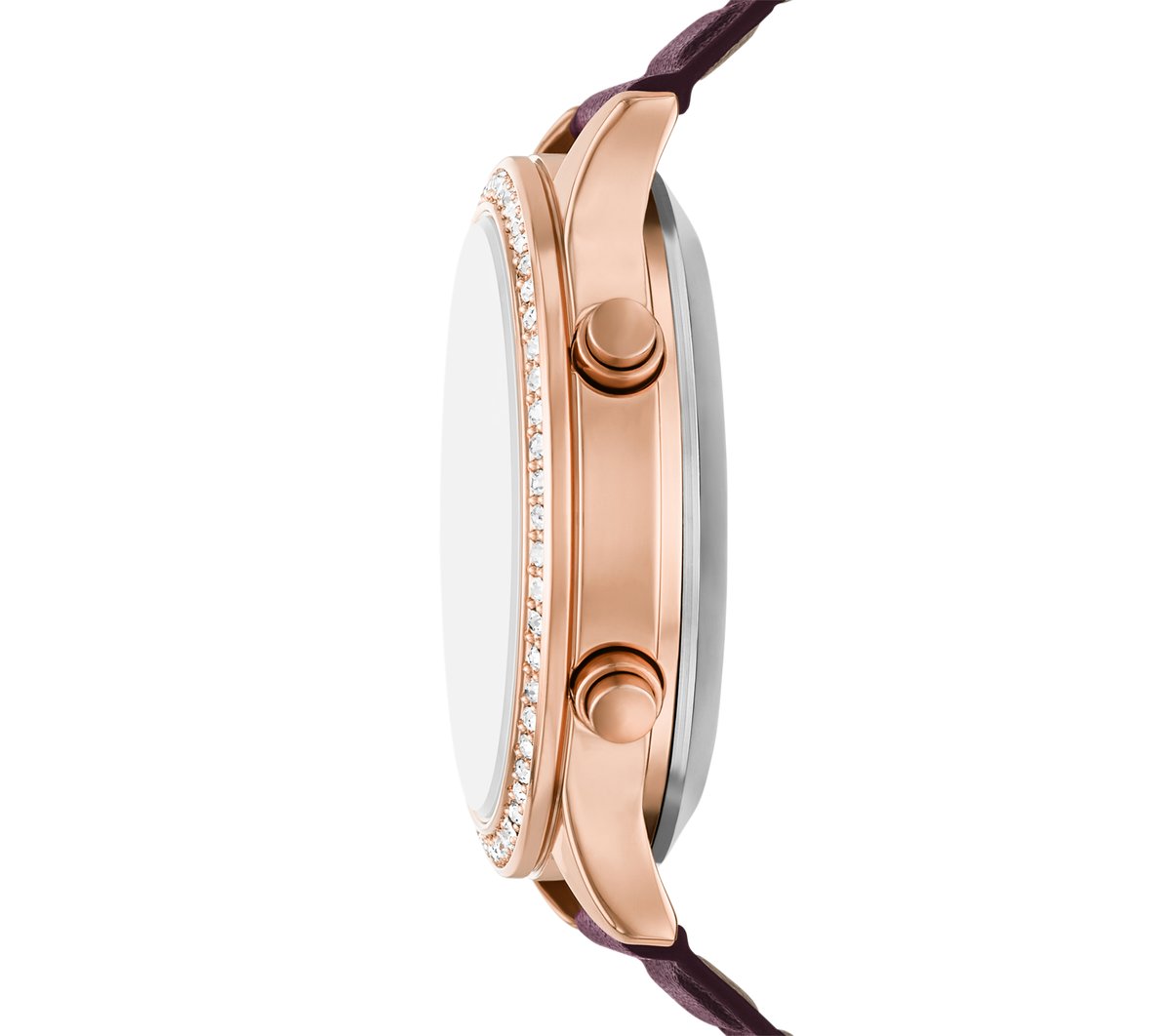 Slip-ins: Aliso Watch / Skechers Clothing